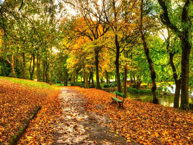 Fondo de pantalla Autumn In New York Central Park 640x480