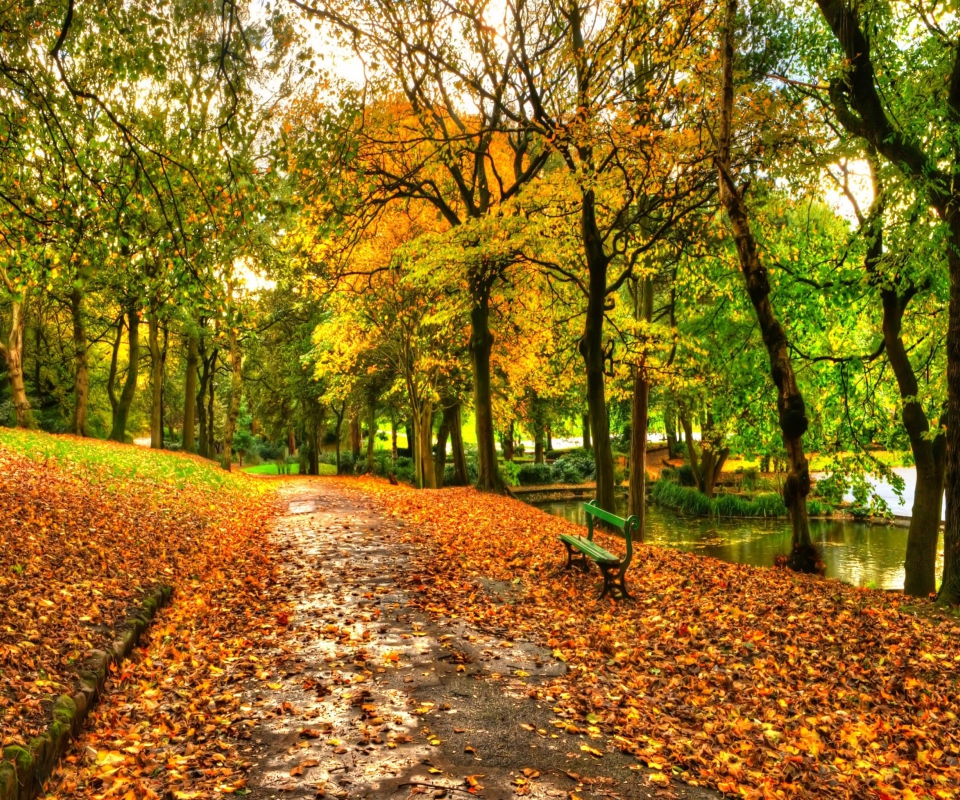 Fondo de pantalla Autumn In New York Central Park 960x800