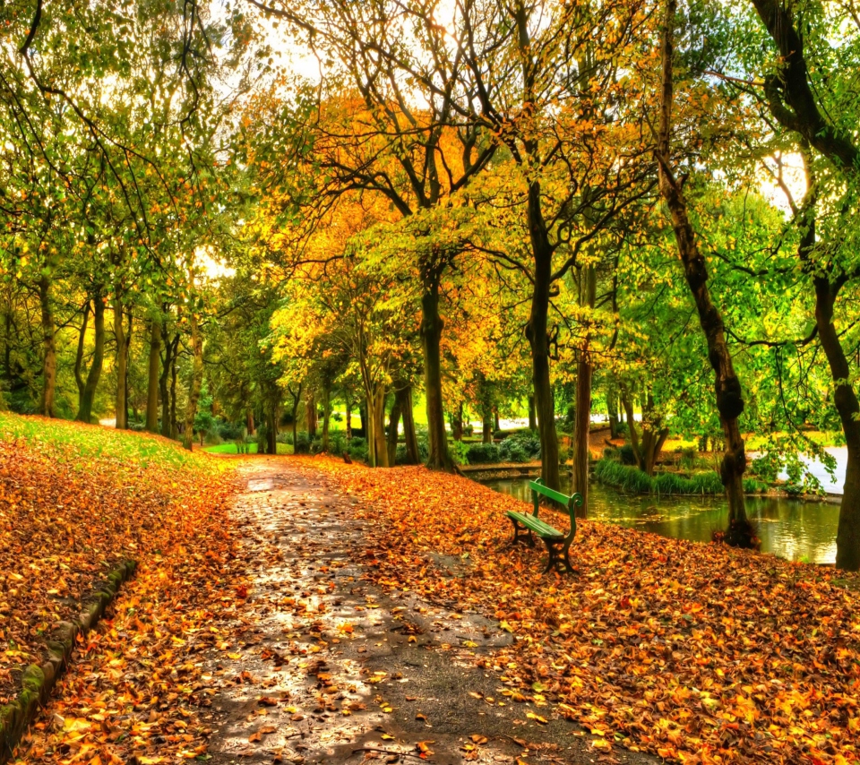 Fondo de pantalla Autumn In New York Central Park 960x854