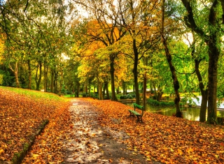 Autumn In New York Central Park - Obrázkek zdarma 