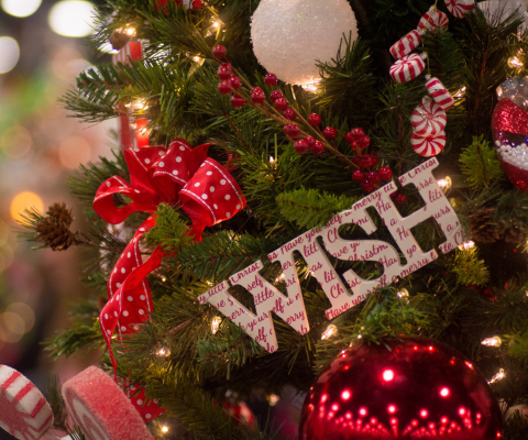 Best Christmas Wishes wallpaper 480x400