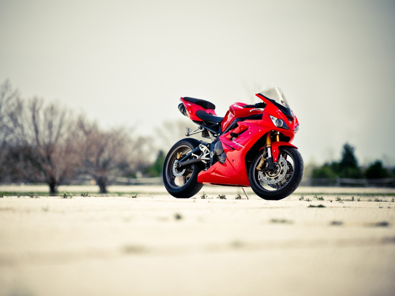 Triumph Daytona 675 Sport Bike wallpaper 1280x960