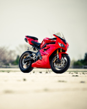 Triumph Daytona 675 Sport Bike wallpaper 176x220