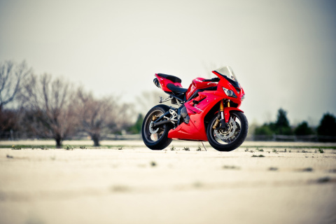 Fondo de pantalla Triumph Daytona 675 Sport Bike 480x320