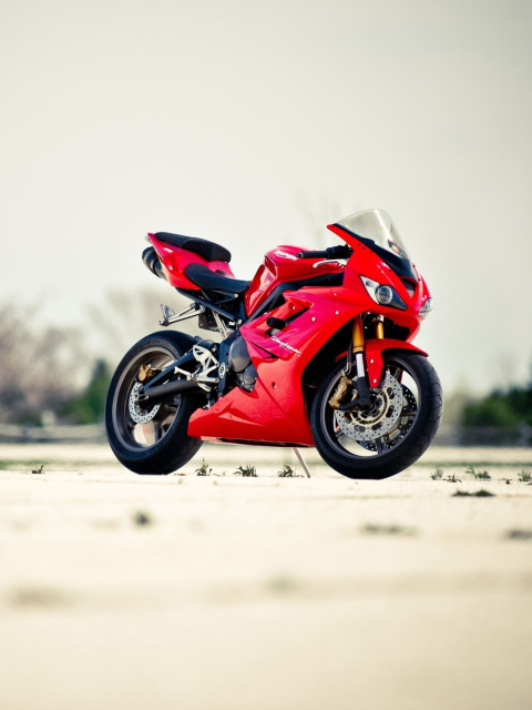 Das Triumph Daytona 675 Sport Bike Wallpaper 480x640