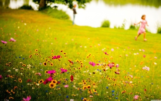 Fields Of Joy Wallpaper for Android, iPhone and iPad