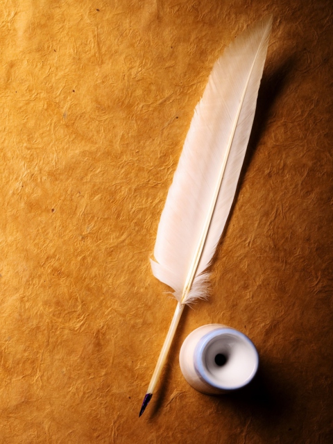 Feather And Ink wallpaper 480x640