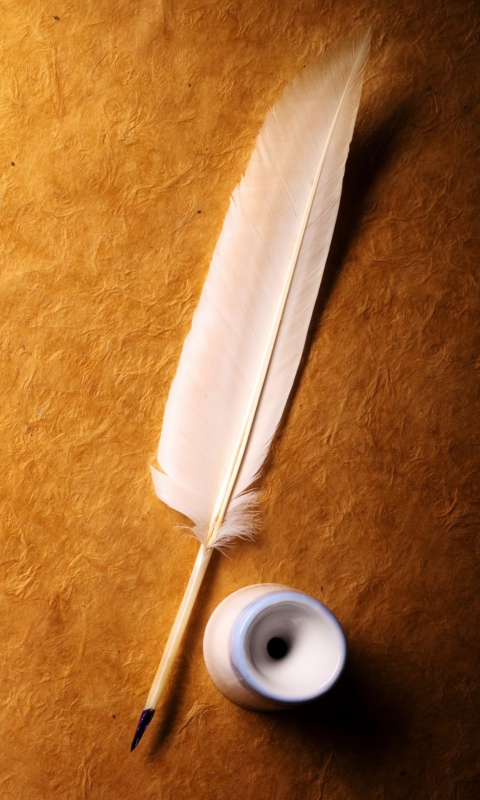 Feather And Ink wallpaper 480x800