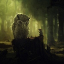 Fondo de pantalla Wise Owl 128x128