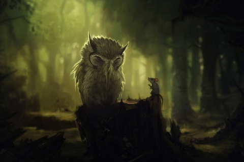 Wise Owl wallpaper 480x320