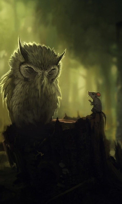 Fondo de pantalla Wise Owl 480x800