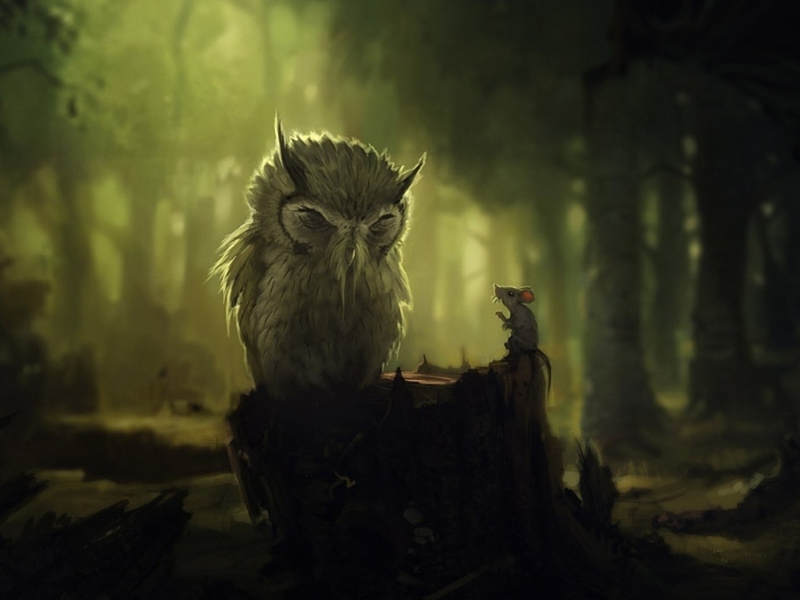Wise Owl screenshot #1 800x600