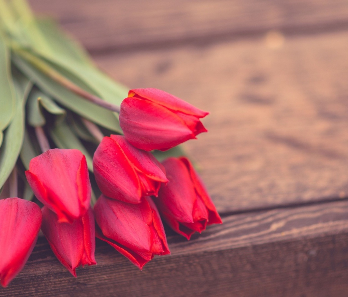 Fondo de pantalla Red Tulip Bouquet On Wooden Bench 1200x1024