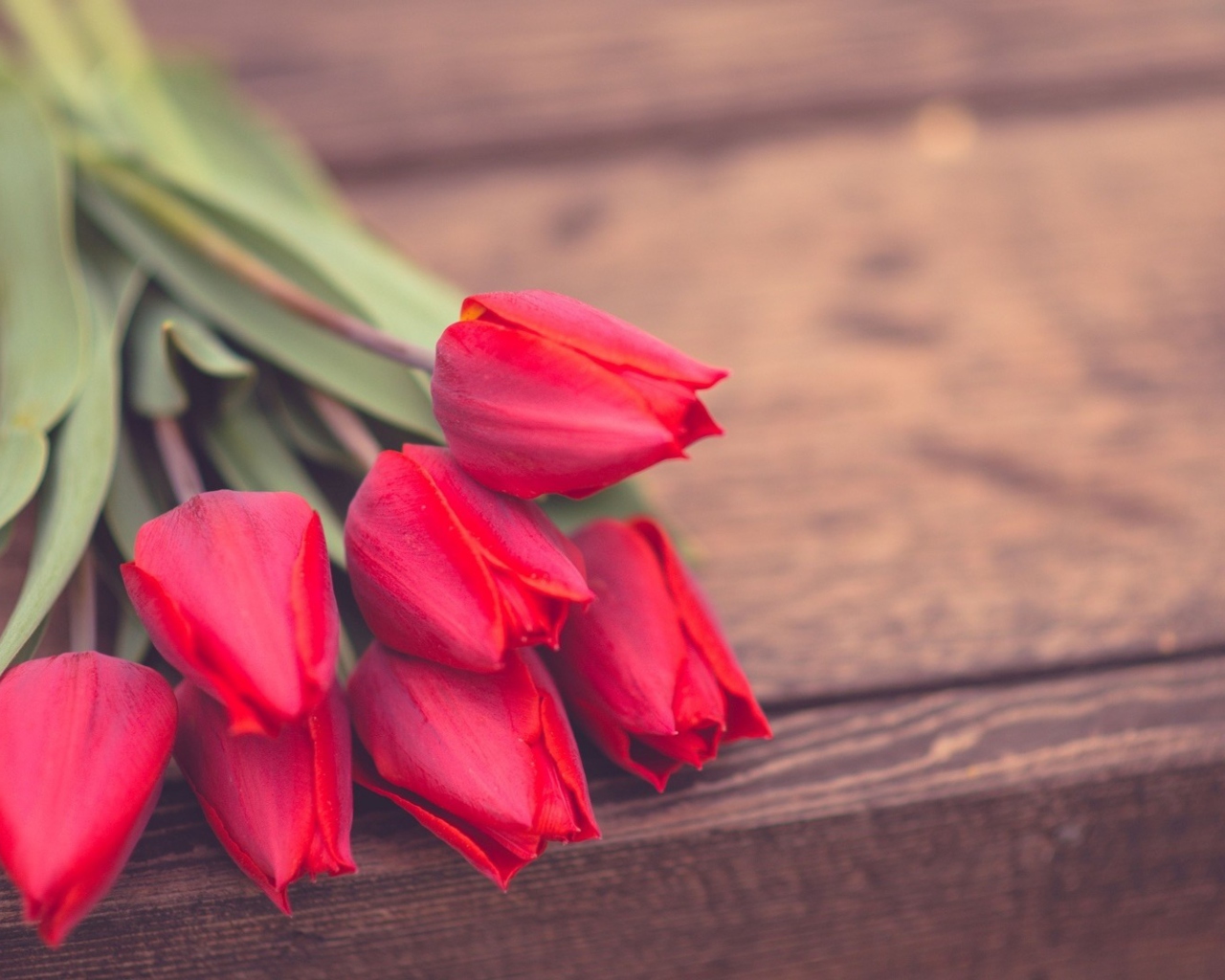 Red Tulip Bouquet On Wooden Bench screenshot #1 1280x1024