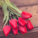 Fondo de pantalla Red Tulip Bouquet On Wooden Bench 128x128