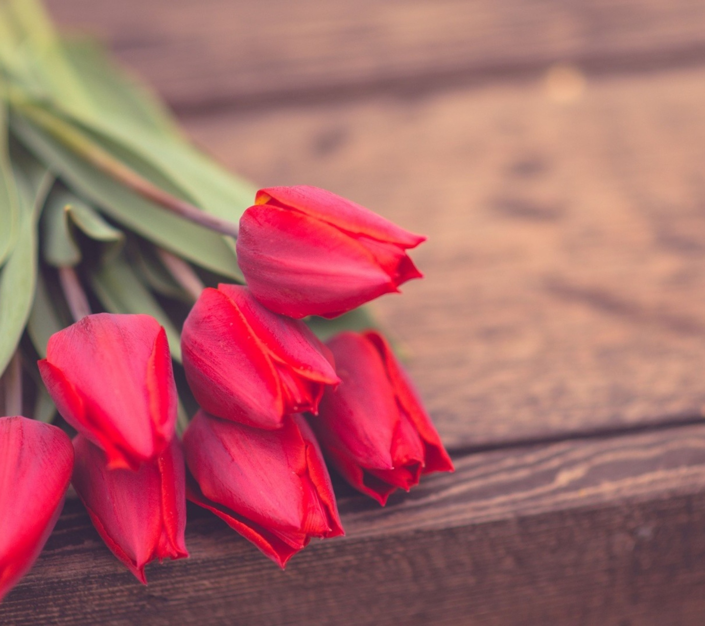 Red Tulip Bouquet On Wooden Bench wallpaper 1440x1280
