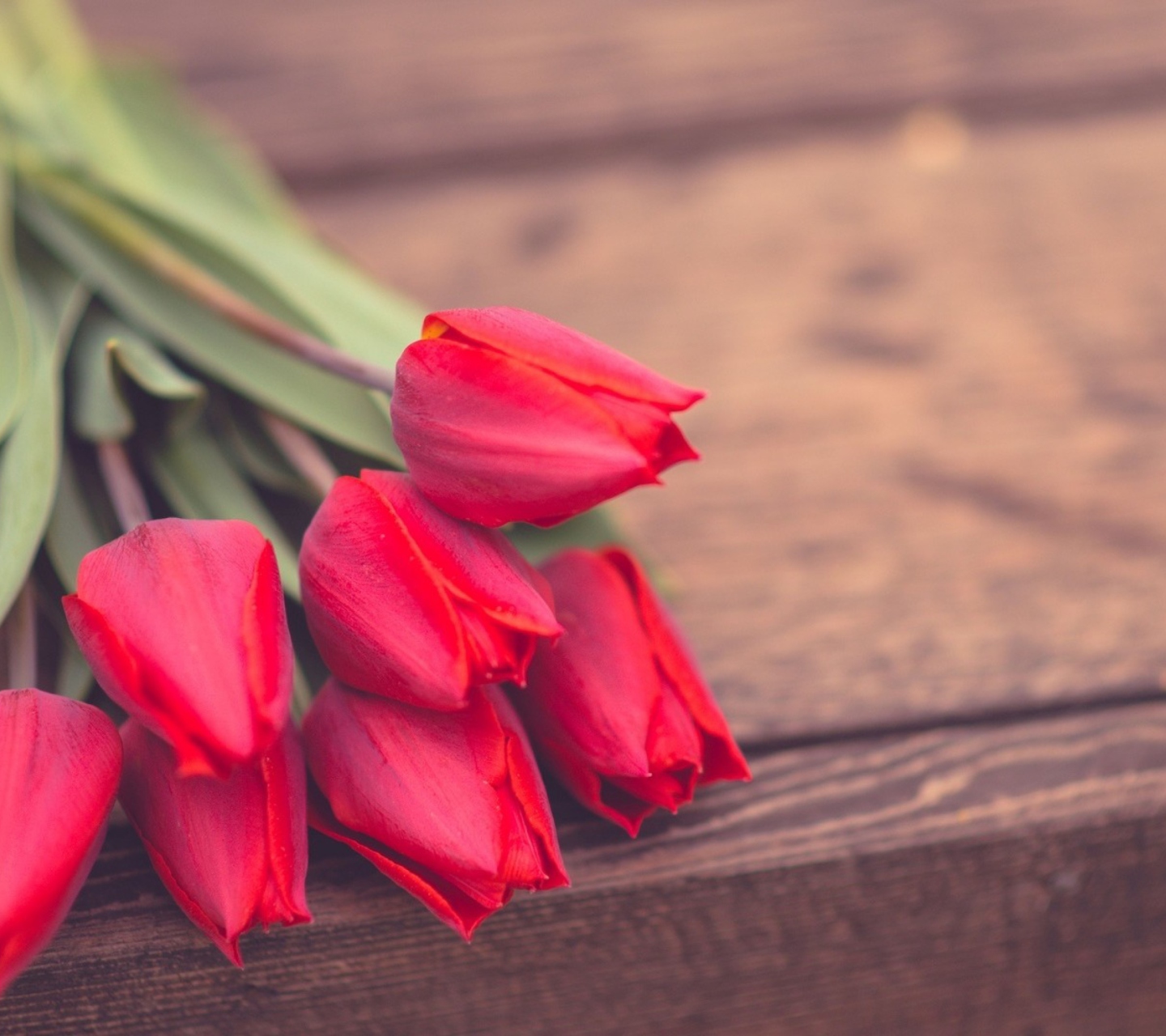 Обои Red Tulip Bouquet On Wooden Bench 1440x1280