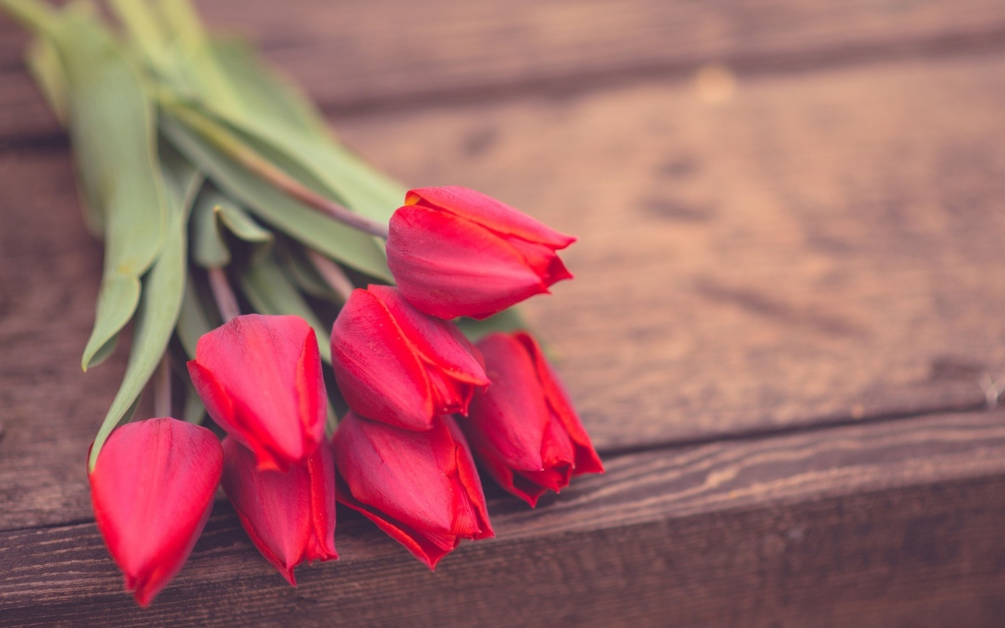 Red Tulip Bouquet On Wooden Bench screenshot #1 1440x900