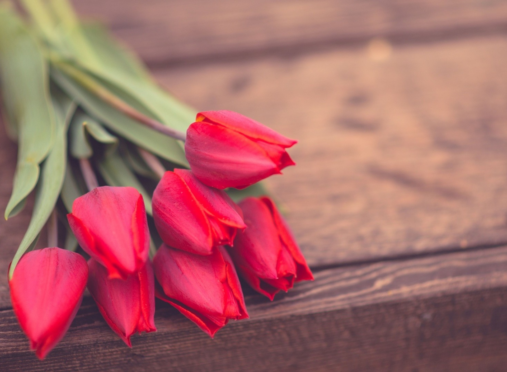 Обои Red Tulip Bouquet On Wooden Bench 1920x1408