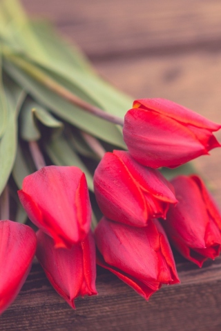 Обои Red Tulip Bouquet On Wooden Bench 320x480