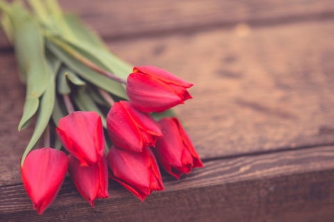 Fondo de pantalla Red Tulip Bouquet On Wooden Bench 480x320
