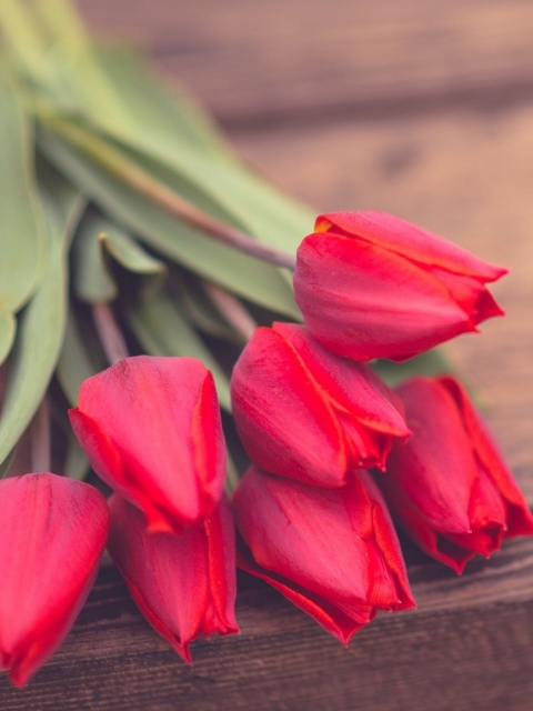 Das Red Tulip Bouquet On Wooden Bench Wallpaper 480x640