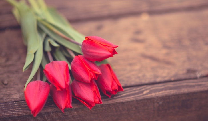 Red Tulip Bouquet On Wooden Bench wallpaper