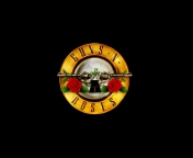 Fondo de pantalla Guns N Roses 176x144