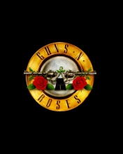 Das Guns N Roses Wallpaper 176x220