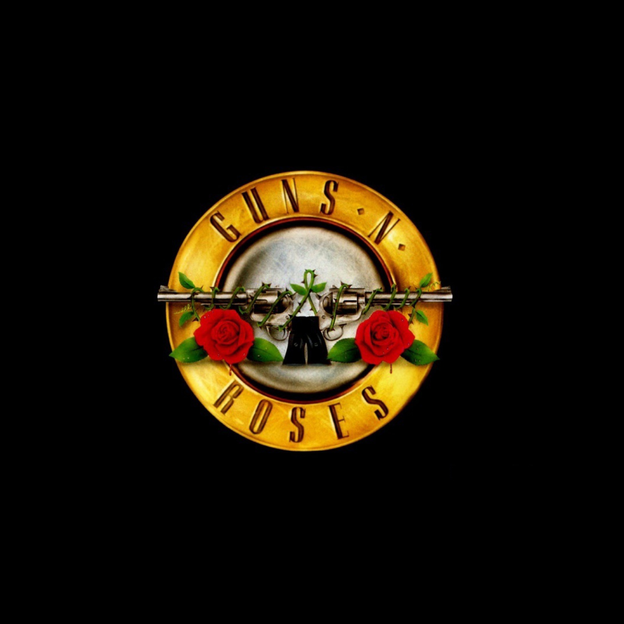 Screenshot №1 pro téma Guns N Roses 2048x2048