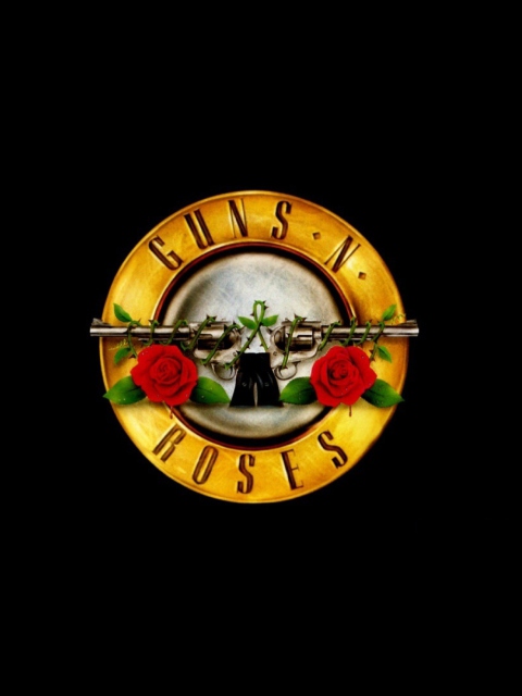 Das Guns N Roses Wallpaper 480x640