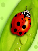 Ladybug wallpaper 132x176