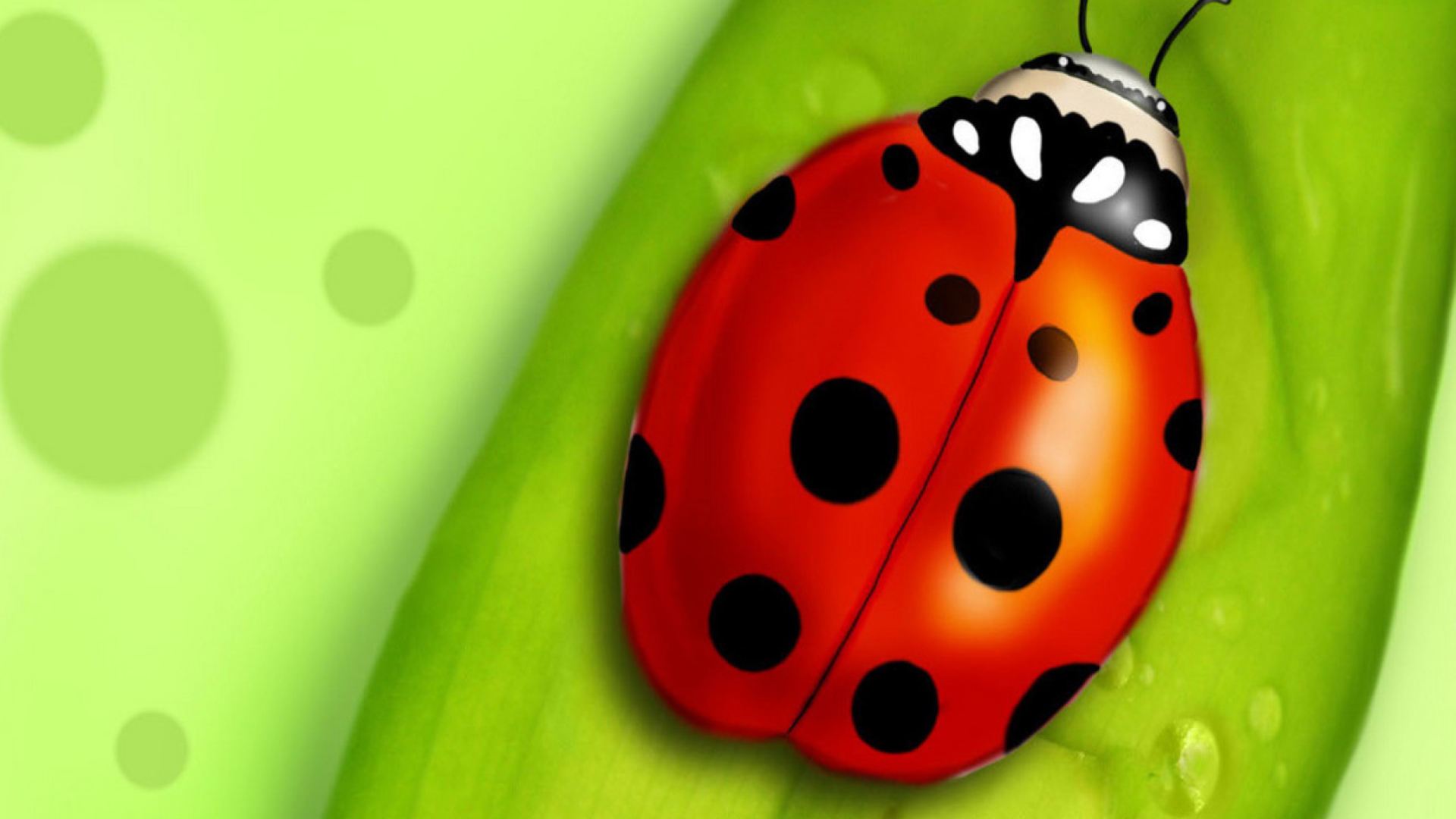 Fondo de pantalla Ladybug 1920x1080
