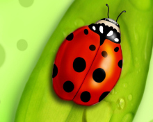 Ladybug wallpaper 220x176