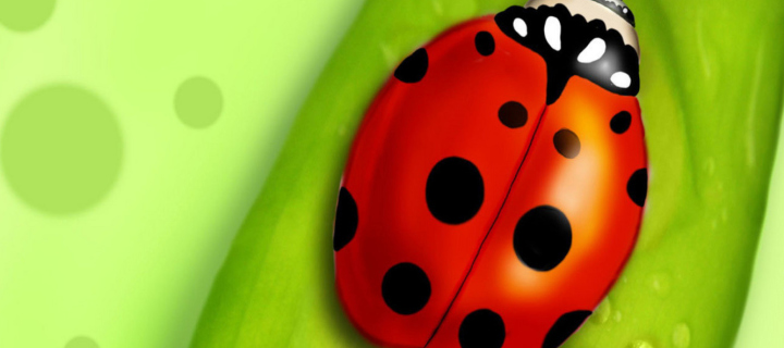 Screenshot №1 pro téma Ladybug 720x320