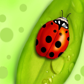 Ladybug sfondi gratuiti per iPad Air