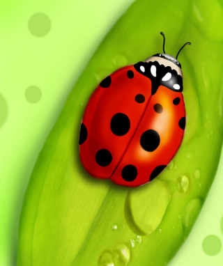 Ladybug sfondi gratuiti per Nokia C1-01