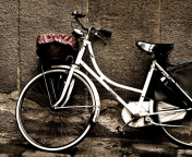 Das Bike Wallpaper 176x144