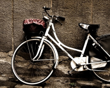Bike wallpaper 220x176