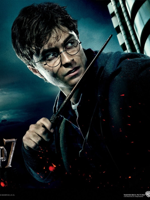 Sfondi Harry Potter And Deathly Hallows 480x640
