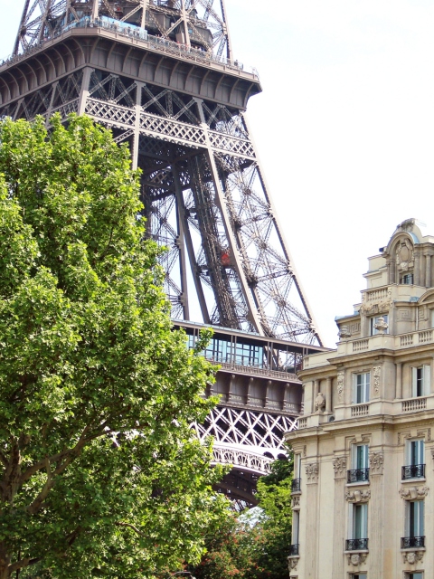 Paris, France, La Tour Eiffel wallpaper 480x640