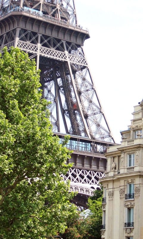 Screenshot №1 pro téma Paris, France, La Tour Eiffel 480x800