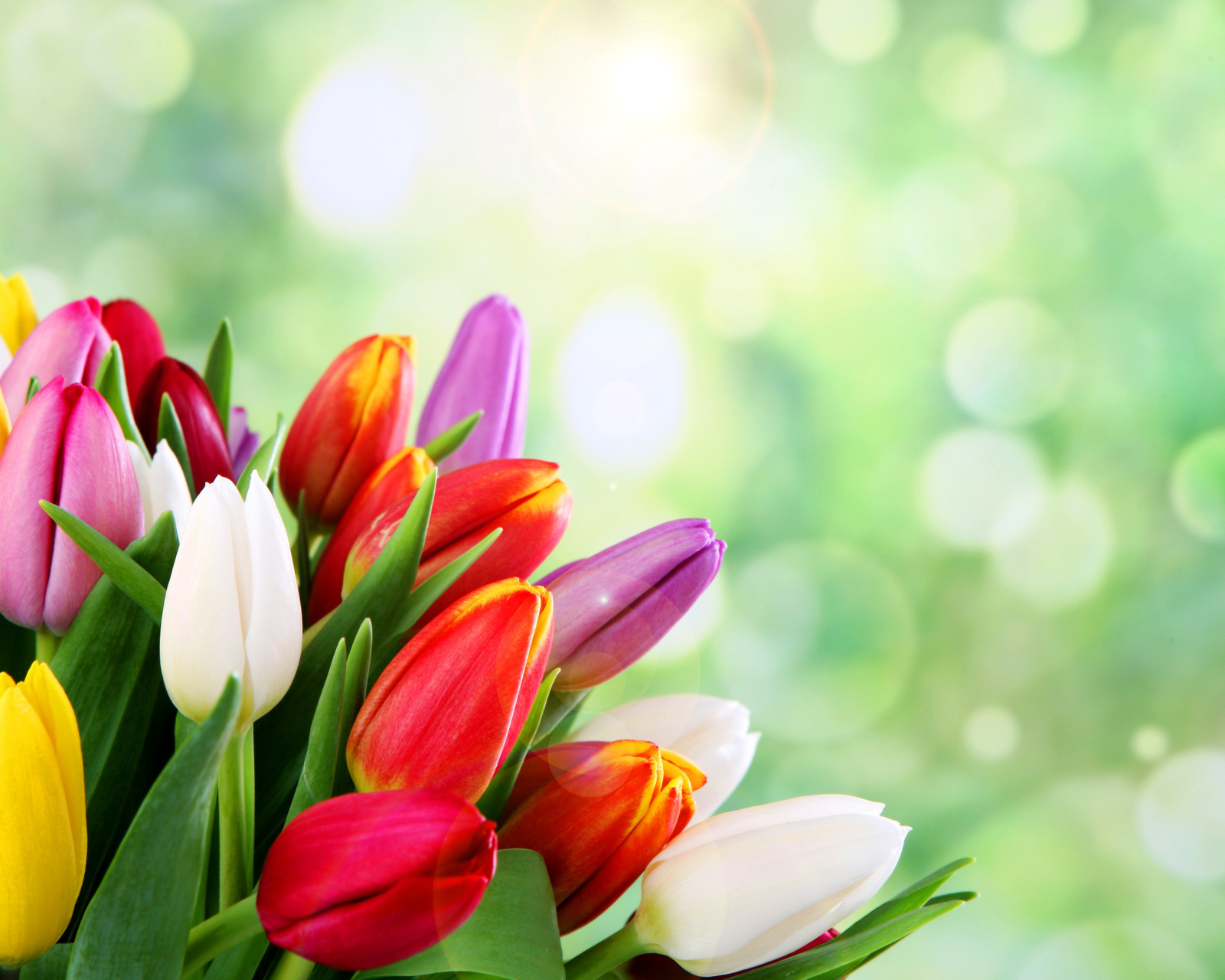 Обои Bouquet of colorful tulips 1600x1280