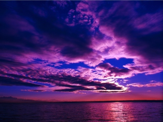 Das Purple Sunset Wallpaper 320x240