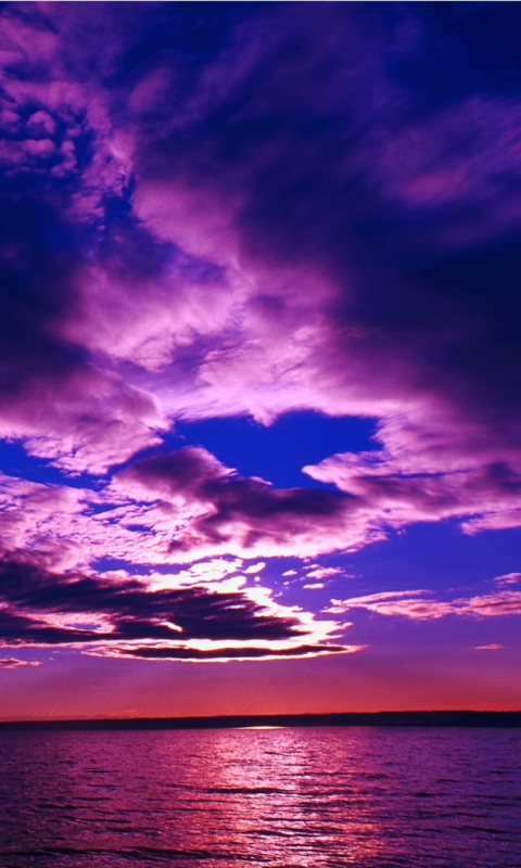 Обои Purple Sunset 480x800