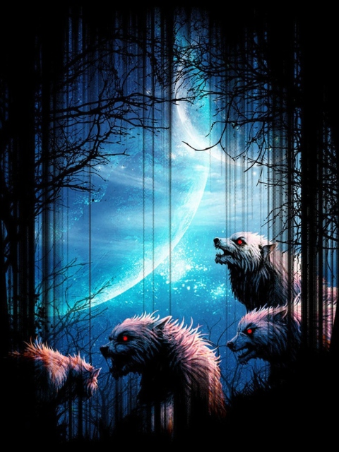 Fondo de pantalla Wolverines At Night 480x640