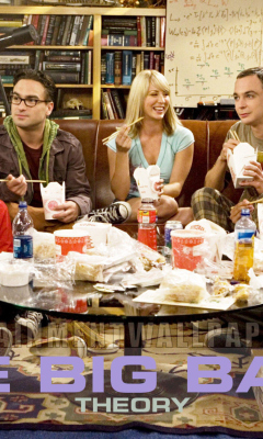 Fondo de pantalla The Big Bang Theory 240x400