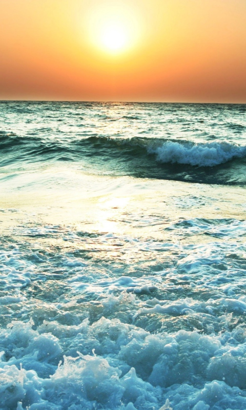 Sunset And Sea wallpaper 480x800