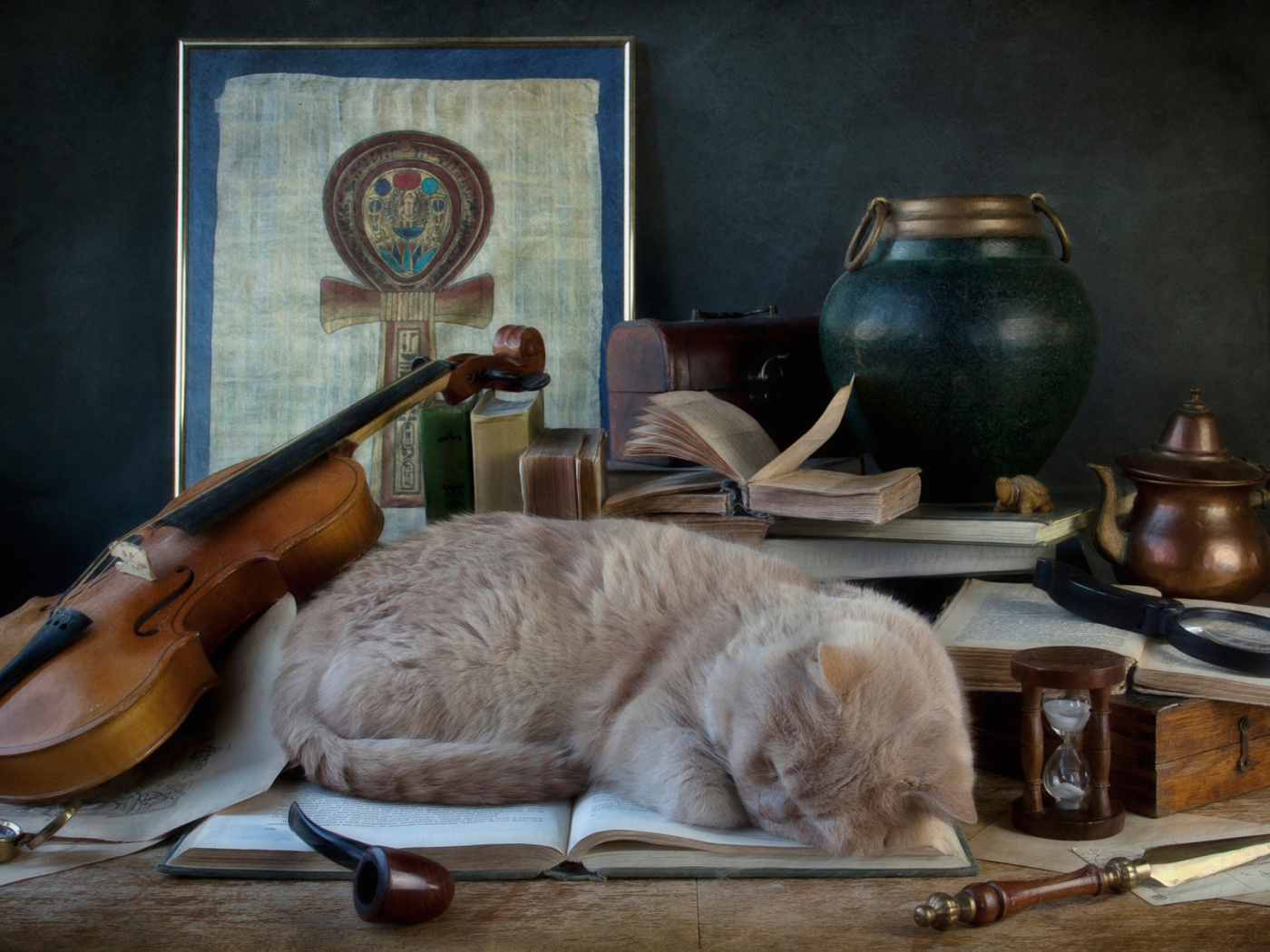 Das Sleeping Cat Wallpaper 1400x1050