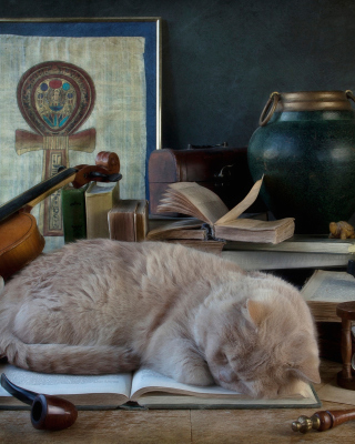 Sleeping Cat - Obrázkek zdarma pro iPhone 4